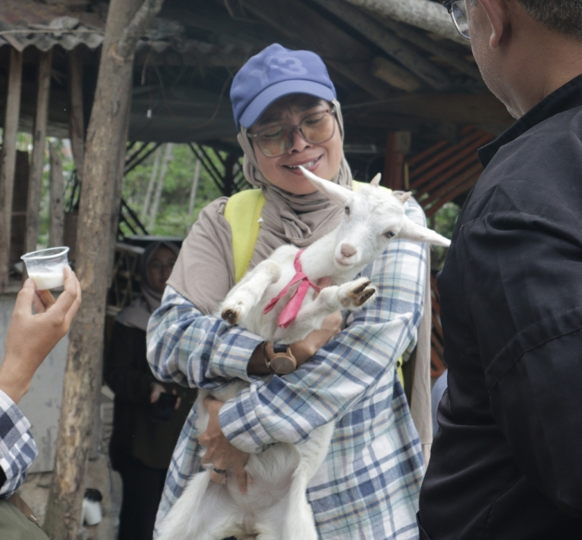 Edukasi Peternakan Kambing